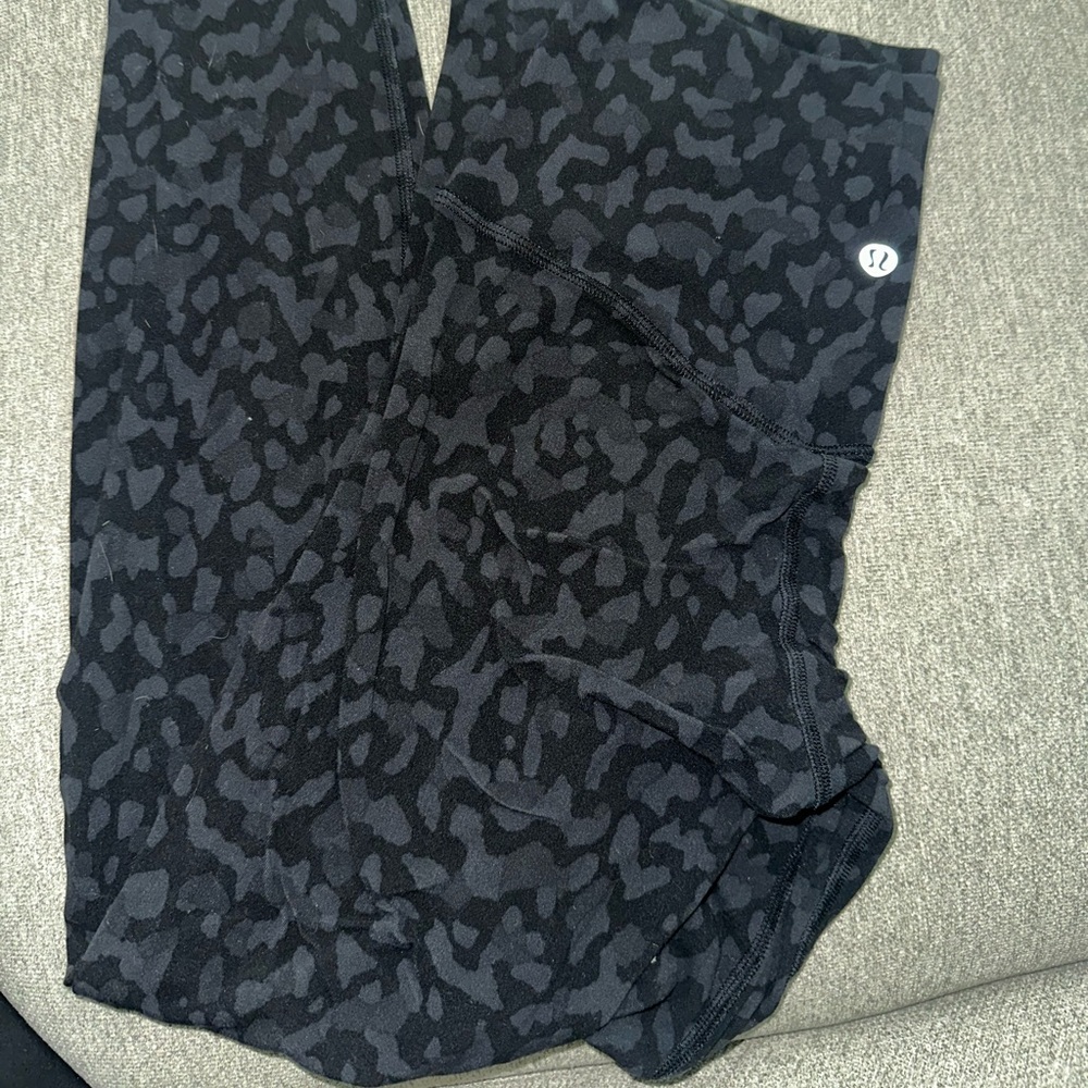 Align pant